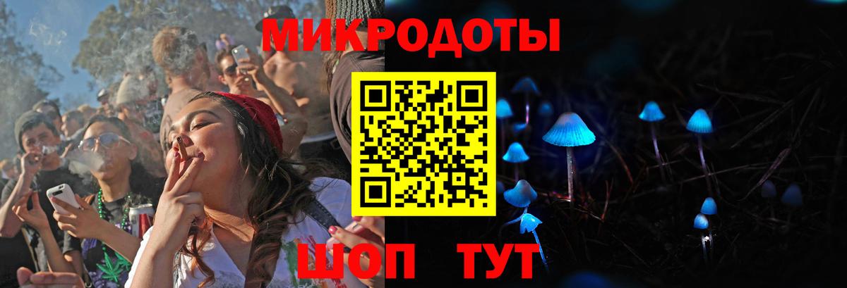 Псилоцибиновые грибы прущие грибы Ялта
